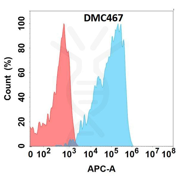 Anti-TGFBR2 antibody(DMC467), IgG1 Chimeric mAb – Figure 1 of 1