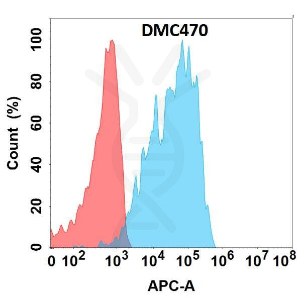 Anti-CXCR1 antibody(DMC470), IgG1 Chimeric mAb – Figure 1 of 1