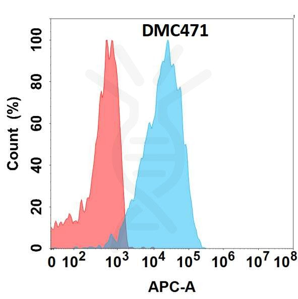 Anti-IL22 antibody(DMC471), IgG1 Chimeric mAb – Figure 1 of 1