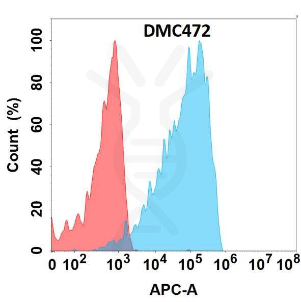 Anti-EPHA4 antibody(DMC472), IgG1 Chimeric mAb – Figure 1 of 1