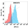 Anti-EMCN antibody(DMC473), IgG1 Chimeric mAb – Figure 1 of 1