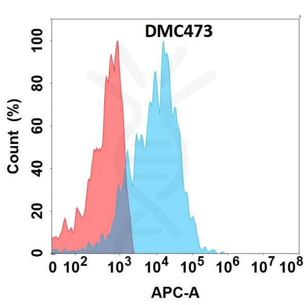 Anti-EMCN antibody(DMC473), IgG1 Chimeric mAb – Figure 1 of 1