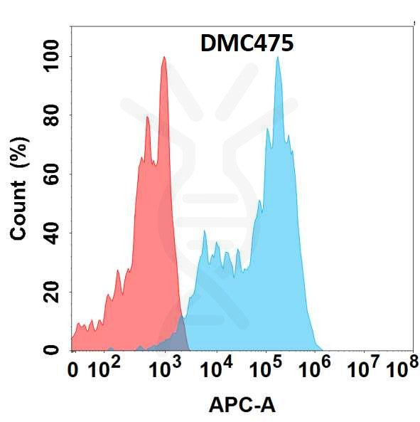 Anti-SIGLEC7 antibody(DMC475), IgG1 Chimeric mAb – Figure 1 of 1