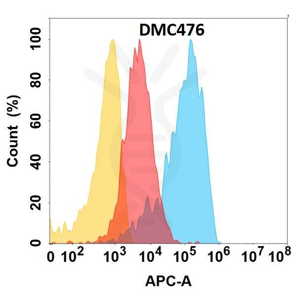 Anti-CD164 antibody(DMC476), IgG1 Chimeric mAb – Figure 1 of 1