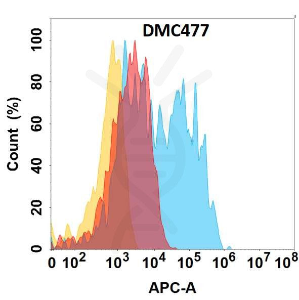 Anti-CCR6 antibody(DMC477), IgG1 Chimeric mAb – Figure 1 of 1