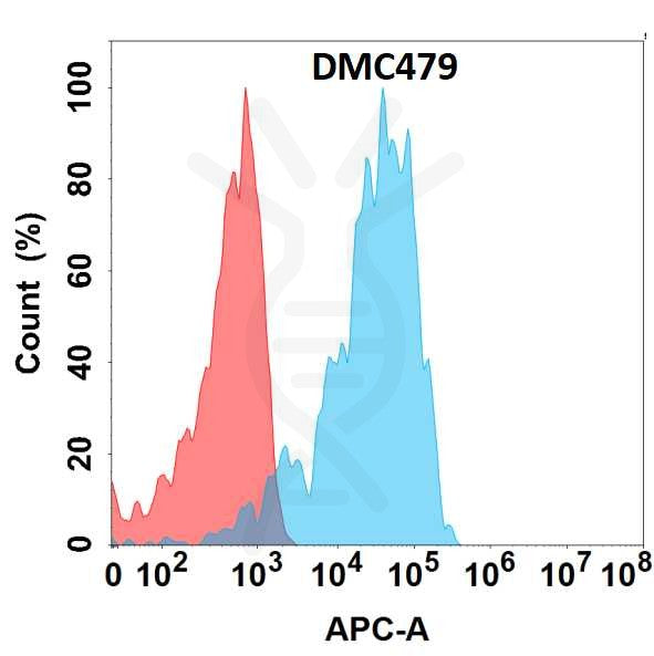 Anti-APCDD1 antibody(DMC479), IgG1 Chimeric mAb – Figure 1 of 1