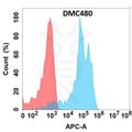 Anti-DDR1 antibody(DMC480), IgG1 Chimeric mAb – Figure 1 of 1