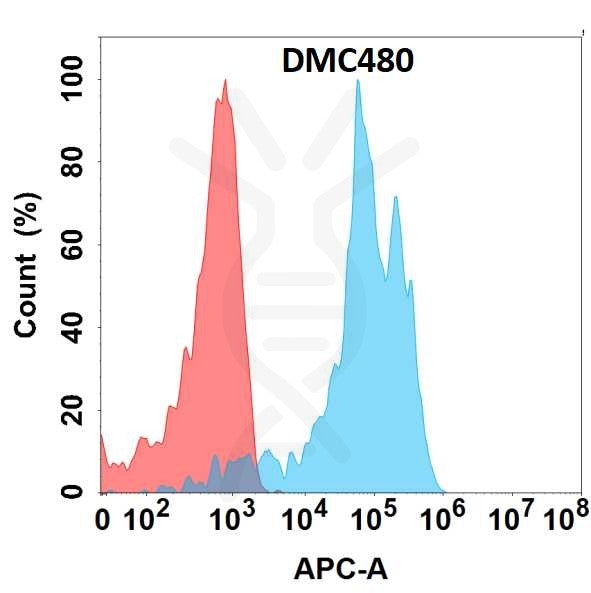 Anti-DDR1 antibody(DMC480), IgG1 Chimeric mAb – Figure 1 of 1