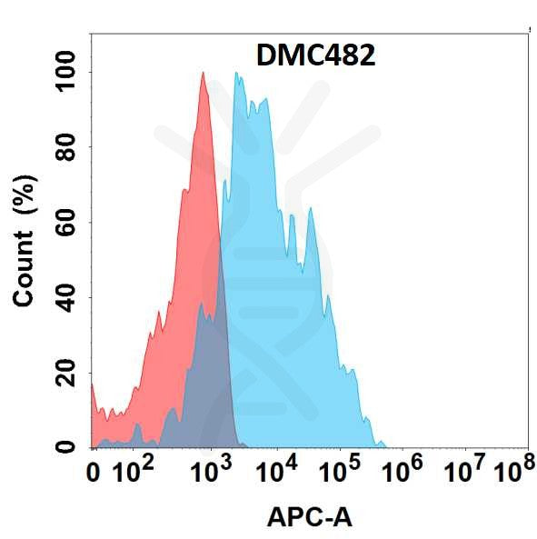 Anti-GPR77 antibody(DMC482), IgG1 Chimeric mAb – Figure 1 of 1