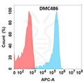 Anti-CD23 antibody(DMC486), IgG1 Chimeric mAb – Figure 1 of 1