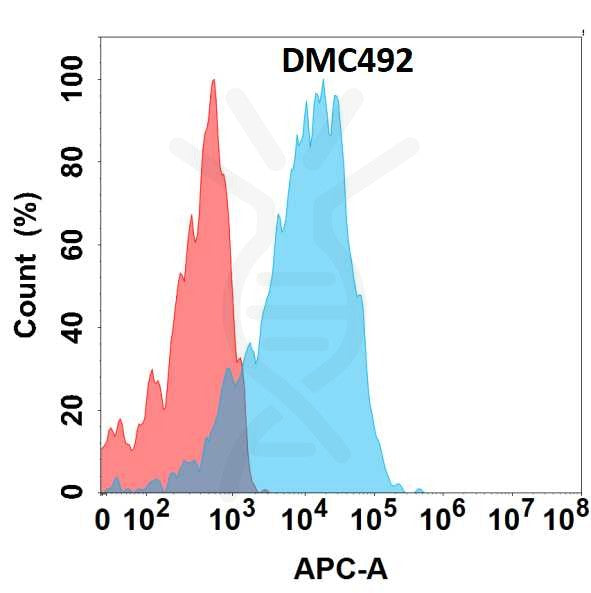 Anti-GPR75 antibody(DMC492), IgG1 Chimeric mAb – Figure 1 of 1