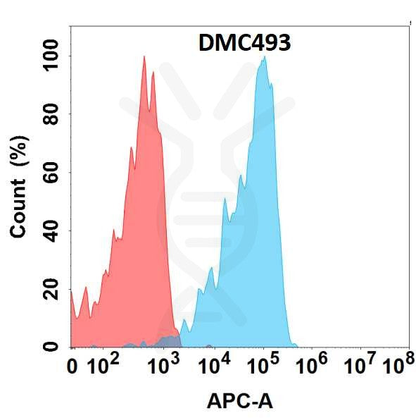 Anti-MUC1 antibody(DMC493), IgG1 Chimeric mAb – Figure 1 of 1