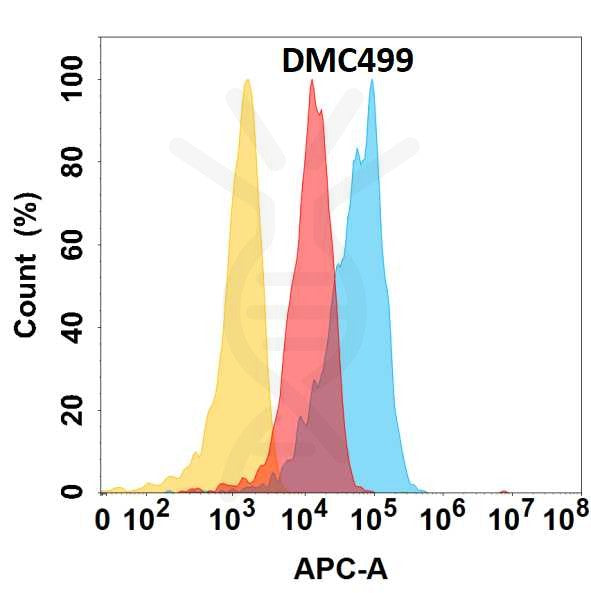 Anti-CXCL1 antibody(DMC499), IgG1 Chimeric mAb – Figure 1 of 1