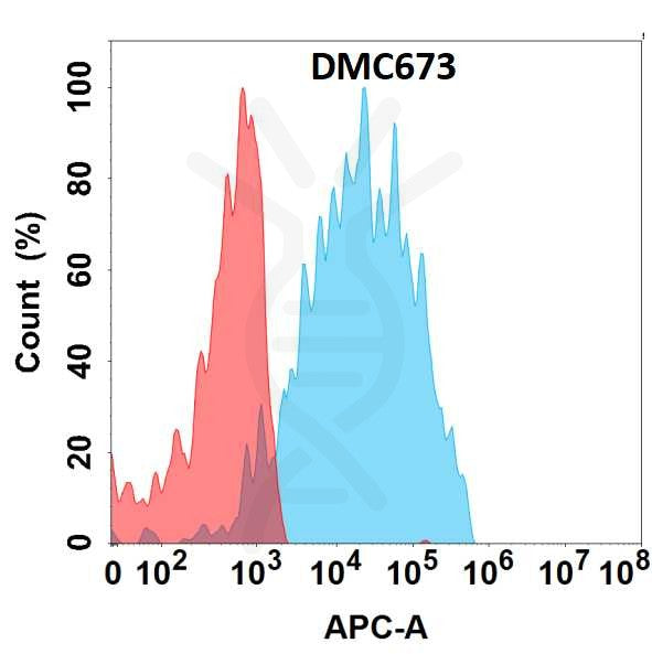 Anti-CRTAM antibody(DMC673), IgG1 Chimeric mAb – Figure 1 of 1