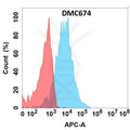 Anti-CD74 antibody(DMC674), IgG1 Chimeric mAb – Figure 1 of 1