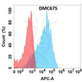 Anti-CDH6 antibody(DMC675), IgG1 Chimeric mAb – Figure 1 of 1