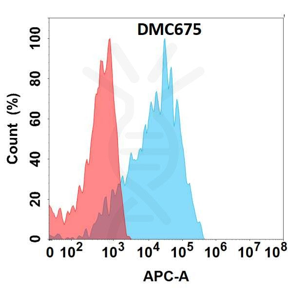 Anti-CDH6 antibody(DMC675), IgG1 Chimeric mAb – Figure 1 of 1