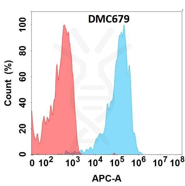 Anti-CXCR5 antibody(DMC679), IgG1 Chimeric mAb – Figure 1 of 1