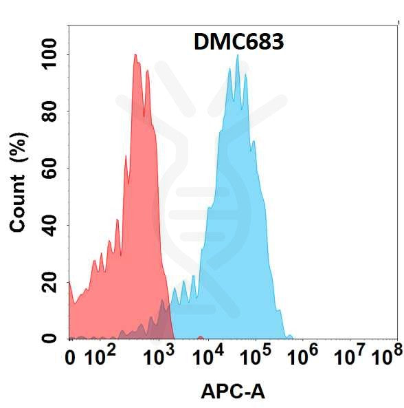 Anti-TENM4 antibody(DMC683), IgG1 Chimeric mAb – Figure 1 of 1