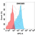 Anti-CEACAM6 antibody(DMC685), IgG1 Chimeric mAb – Figure 1 of 1