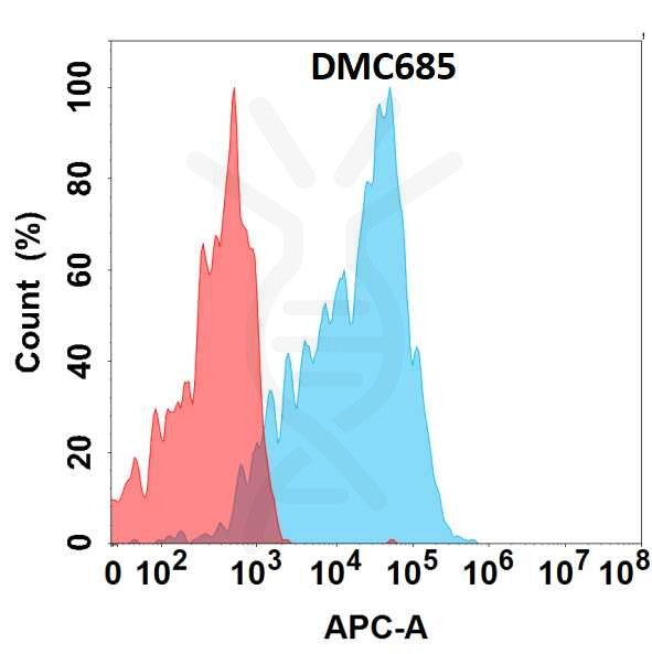 Anti-CEACAM6 antibody(DMC685), IgG1 Chimeric mAb – Figure 1 of 1
