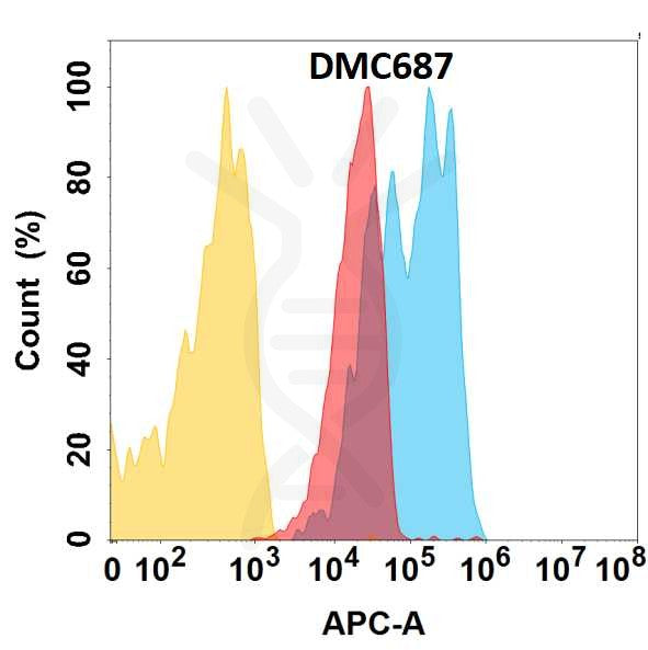 Anti-CXADR antibody(DMC687), IgG1 Chimeric mAb – Figure 1 of 1