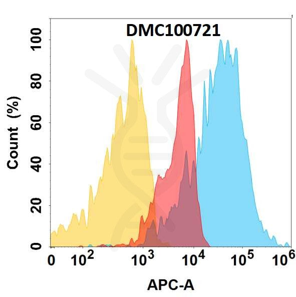 Anti-IGF-1R antibody(DMC721), IgG1 Chimeric mAb – Figure 1 of 1
