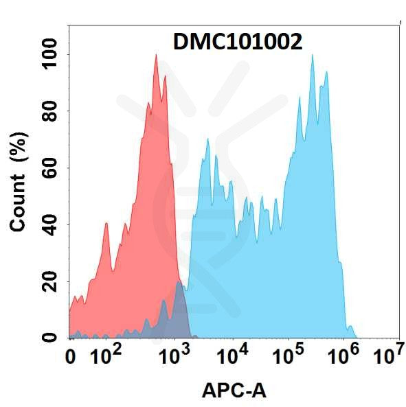 Anti-APP antibody(3D7), IgG1 Chimeric mAb – Figure 1 of 1