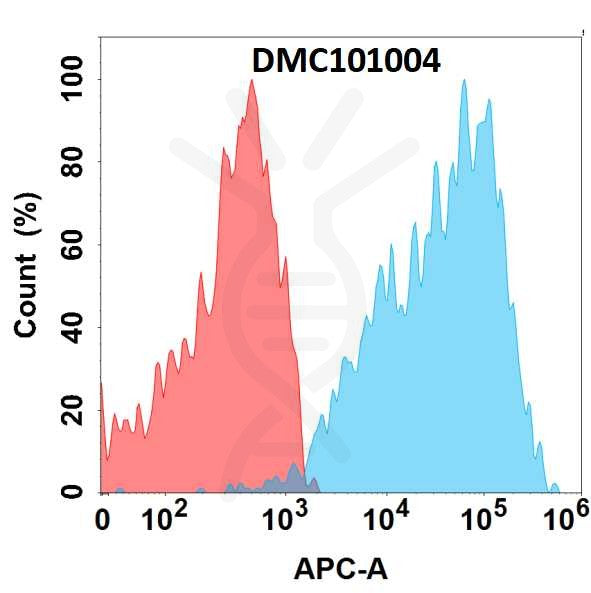 Anti-GPC1 antibody(1B8), IgG1 Chimeric mAb – Figure 1 of 1