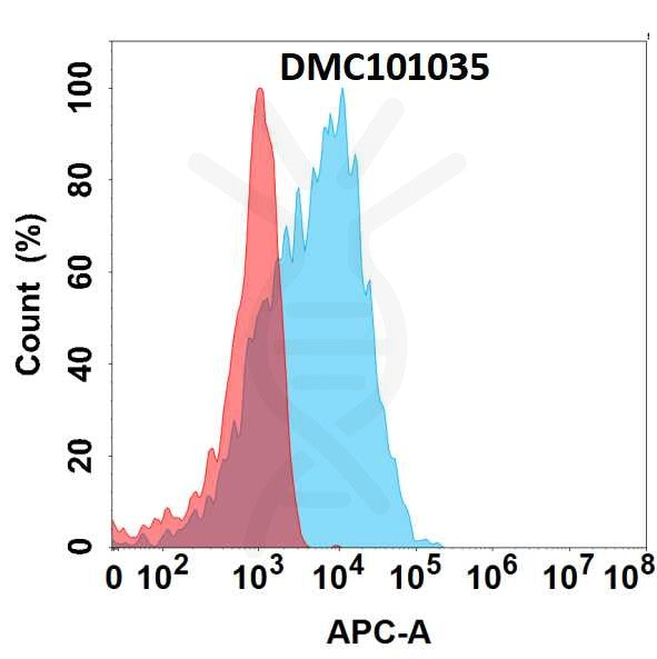 Anti-CGRP antibody(7C1), IgG1 Chimeric mAb – Figure 1 of 1