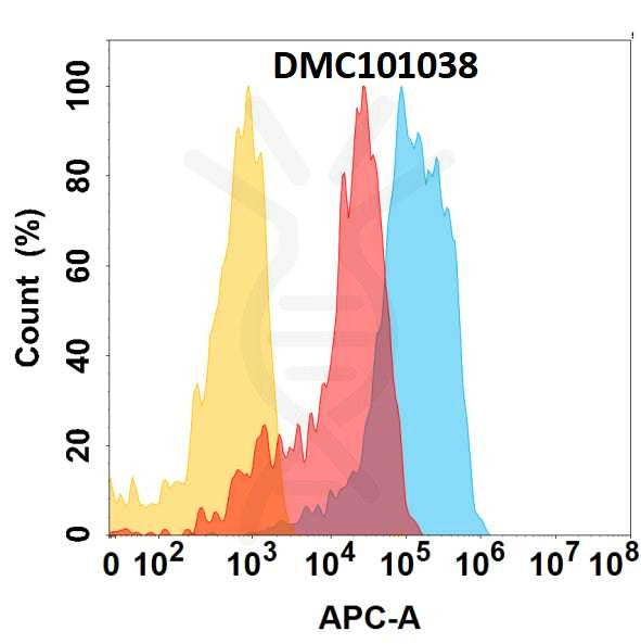 Anti-CD98 antibody(2H8), IgG1 Chimeric mAb – Figure 1 of 1