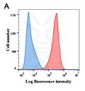 Anti-BCMA antibody(DM4), Rabbit mAb – Figure 1 of 1