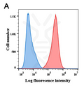 Anti-BCMA antibody(DM6), Rabbit mAb – Figure 1 of 1