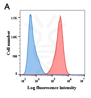 Anti-BCMA antibody(DM6), Rabbit mAb – Figure 1 of 1