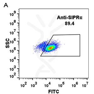 Anti-SIRPa(DM8) antibody, Rabbit mAb – Figure 1 of 1