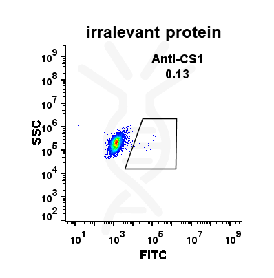 Anti-CS1 antibody(DM9), Rabbit mAb – Figure 1 of 1