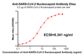 Anti-SARS-CoV-2 Nucleocapsid antibody(DM22), Rabbit mAb – Figure 1 of 1