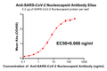 Anti-SARS-CoV-2 Nucleocapsid antibody(DM23), Rabbit mAb – Figure 1 of 1