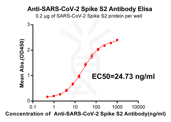 Anti-SARS-CoV-2 Spike antibody(DM25), Rabbit mAb – Figure 1 of 1