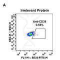Anti-CD38 antibody(DM28), Rabbit mAb – Figure 1 of 1