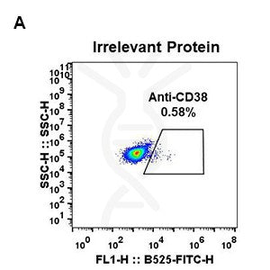 Anti-CD38 antibody(DM28), Rabbit mAb – Figure 1 of 1