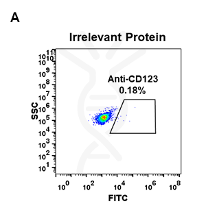 Anti-CD123 antibody(DM31), Rabbit mAb – Figure 1 of 1