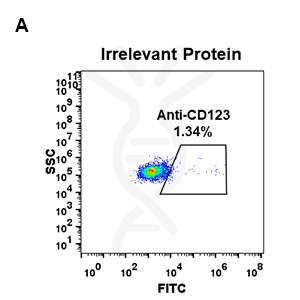 Anti-CD123 antibody(DM34), Rabbit mAb – Figure 1 of 1
