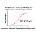 Anti-SARS-CoV-2 Nucleocapsid antibody(DM36), Rabbit mAb – Figure 1 of 1