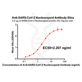 Anti-SARS-CoV-2 Nucleocapsid antibody(DM37), Rabbit mAb – Figure 1 of 1