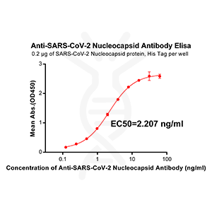 Anti-SARS-CoV-2 Nucleocapsid antibody(DM37), Rabbit mAb – Figure 1 of 1