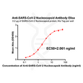Anti-SARS-CoV-2 Nucleocapsid antibody(DM38), Rabbit mAb – Figure 1 of 1
