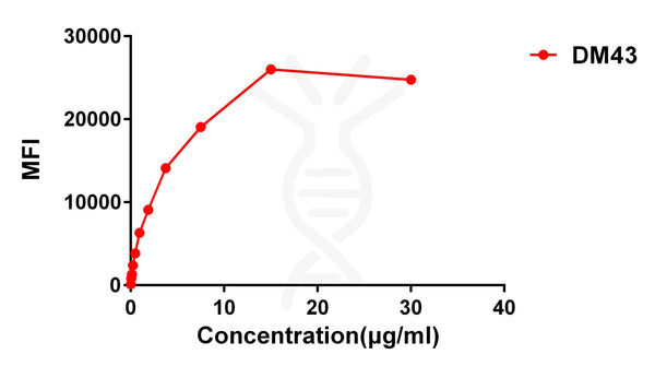 Anti-CD48 antibody(DM43), Rabbit mAb – Figure 1 of 1