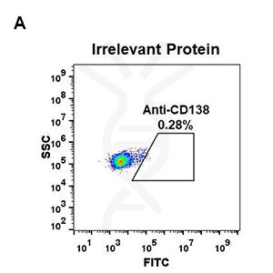 Anti-CD138 antibody(DM45), Rabbit mAb – Figure 1 of 1