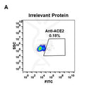 Anti-ACE2 antibody(DM48), Rabbit mAb – Figure 1 of 1